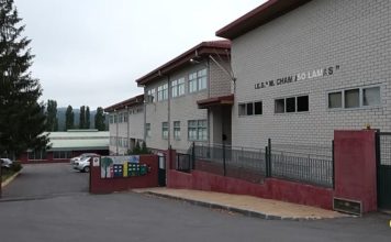 Afundación, a Obra Social de ABANCA, levará hoxe xoves 13 de novembro o seu proxecto «Plantando árbores con pinceis» ao IES Manuel Chamoso Lamas do Carballiño.