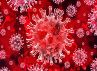 coronavirus