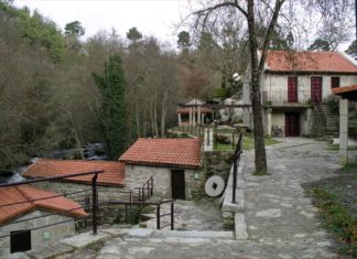 Foto Secundino Lorenzo