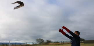 O delegado da Xunta en Ourense pon en valor o labor do centro de recuperación de fauna do Rodicio