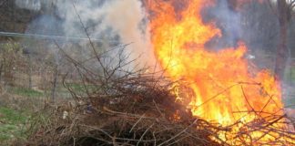 Medio Rural mantén a prohibición de queimas agrícolas a pesar do baixo risco de incendio