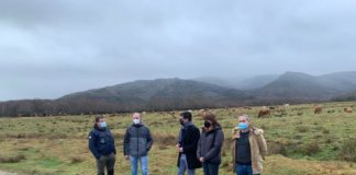 A Xunta destina preto de 5 millóns de euros para plans de mellora agraria