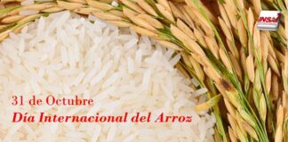 31 de outubro: Día internacional do arroz