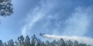 Un veciño de Veiga, investigado como presunto autor dun lume forestal orixinado por unha queima de rastroxos