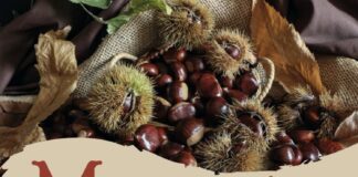 O Irixo convida á celebración dun magosto popular o vindeiro sábado 8 de novembro