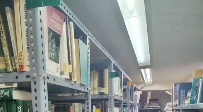 A Biblioteca do Carballiño pon a disposición da veciñanza os libros retirados na primeira fase do expurgo