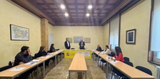 Alumnado do IES Nº 1 do Carballiño opta aos premios do 41º Concurso da Constitución