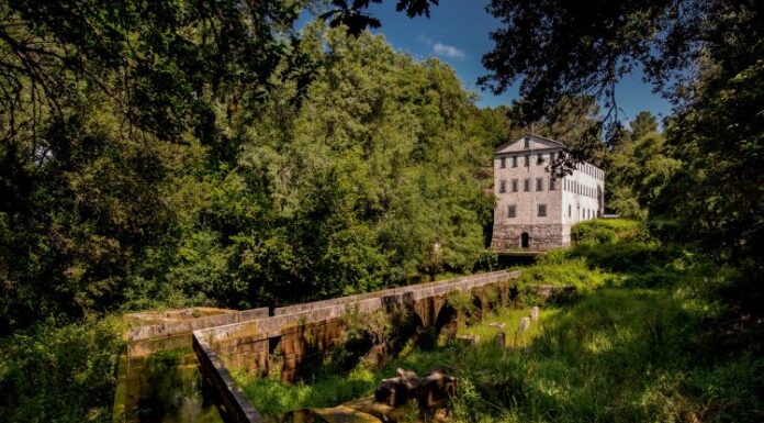 O Carballiño reúne mañá no futuro ‘Museo do Papel’ a 30 mulleres emprendedoras de toda a provincia