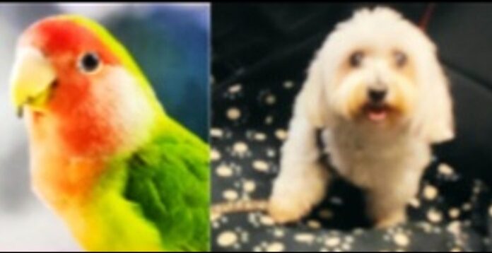 Avelino Muleiro: “O derradeiro suspiro entre as miñas mans “