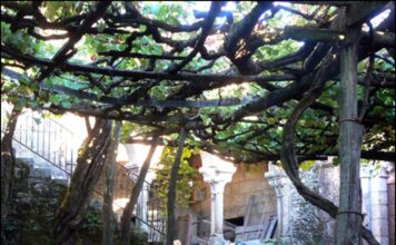 A Opinión de César Varela: “Sobre toponimia galega… De Lóvios a Oviedo pasando por San Fiz de Solóvio”