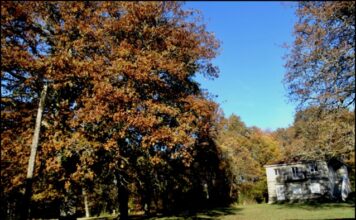 Abraiante outono entre o Irixo-o Carballiño