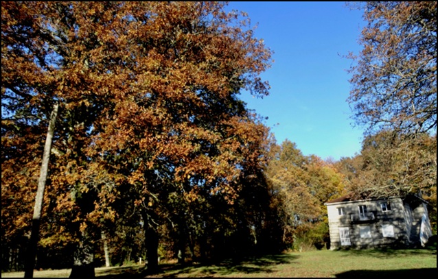 artigo xulio dobarro-1