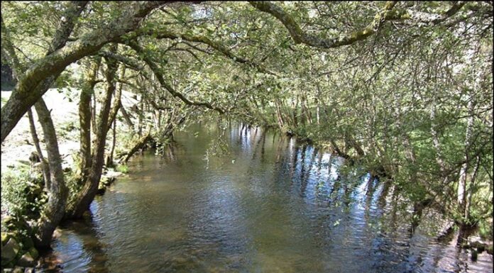 Salvar o río Arenteiro segue dependendo da Confederación Hidrográfica