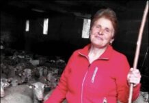 A Deputación adícalle o 8 de decembro ás mulleres que traballan no sector agrogandeiro, dentro da súa campaña “8M, mes a mes”