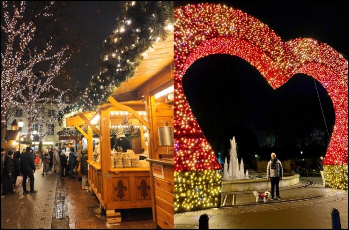 artigo avelino luxemburgo-2