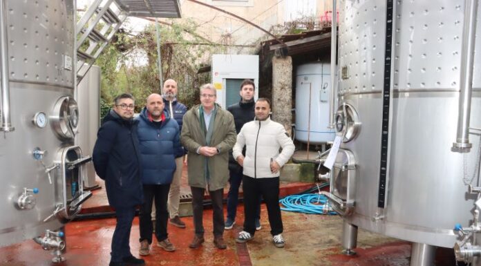 A Xunta abre unha nova orde de axudas de 5,5M€ para a elaboración e comercialización de produtos vitivinícolas