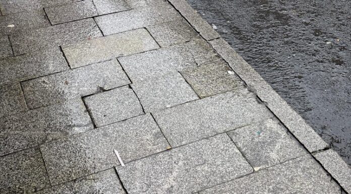 O PSdeG-PSOE de Ribadavia reclama solucións ante o “lamentable” estado no que se atopa a Rúa Progreso