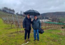 Eladio Santos destaca o firme apoio do Goberno de España ao sector viticultor ourensán afectado polos devastadores lumes forestais do 2025