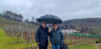 Eladio Santos destaca o firme apoio do Goberno de España ao sector viticultor ourensán afectado polos devastadores lumes forestais do 2025