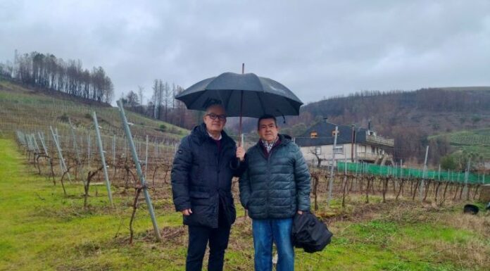 Eladio Santos destaca o firme apoio do Goberno de España ao sector viticultor ourensán afectado polos devastadores lumes forestais do 2025