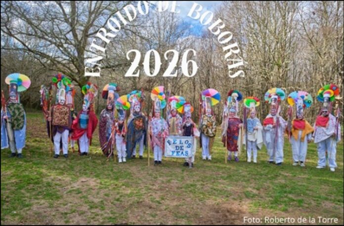 cartaz boboras entroido p