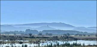 Dia mundial dos humidais. roteiro e visita guiada ao centro de interpretación da Lagoa de antela e outras zonas húmidas da limia coa seo birlife local de Pontevedra
