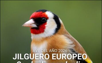 Pablo A. Guillén: “O ano do xílgaro”