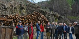 Medio Rural salienta o apoio aos afectados polos incendios de 2025 con máis de 7,5 millóns de euros xa mobilizados