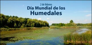 2 de febreiro : ” Día internacional dos humidais “