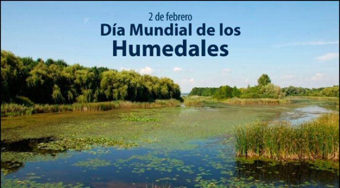 2 de febreiro : ” Día internacional dos humidais “