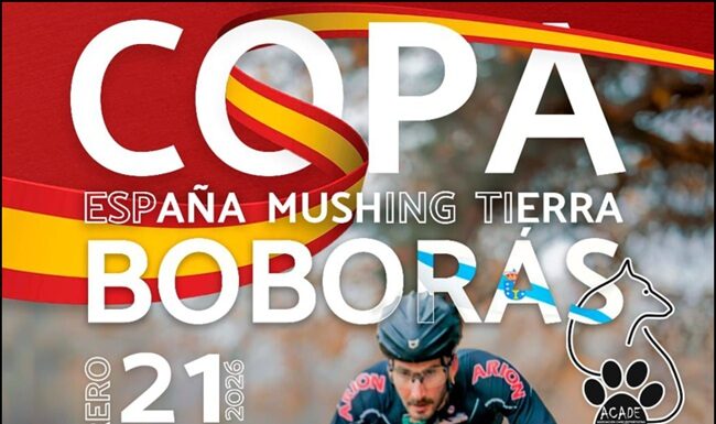 Mañá 21 de febreiro a partir das 9:00 horas arrancan as carreiras da Copa de España de Mushing Terra – Boborás 2026