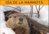 2 de febreiro ” Día internacional da marmota “