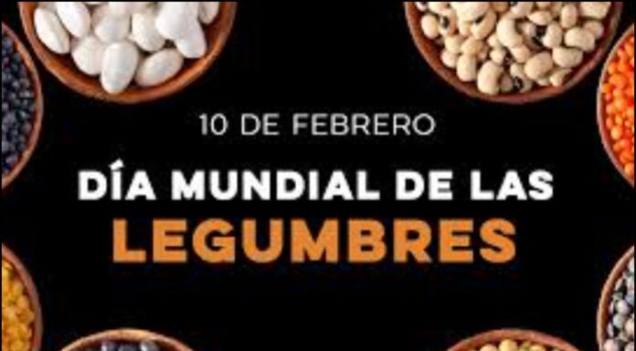 10 de febreiro : ” Día mundial das legumes “