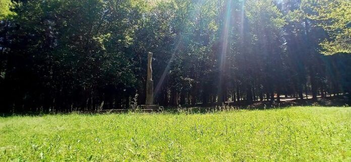 Parque