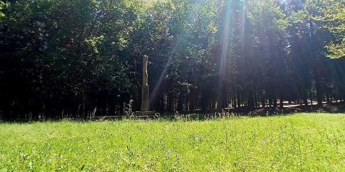 A ANPA do CEIP Calvo Sotelo organiza mañá un programa de observación de insectos aberto a toda a cativada