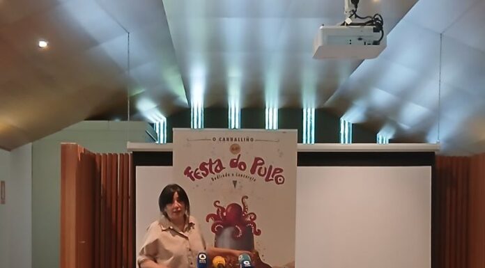 Ari Quintas deseña un cartaz da ‘LXIV Festa do Pulpo’ que fusiona O Carballiño e Lanzarote