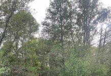 Un home foi rescatado tras caer ao río Silvaboa na parroquia da Canda, en Piñor
