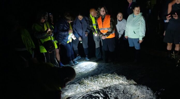 A andaina nocturna para coñecer os petróglifos de Cangues terá lugar o vindeiro 31 de xullo
