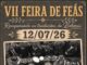 Este domingo volve a tradición a Feás, Boborás!