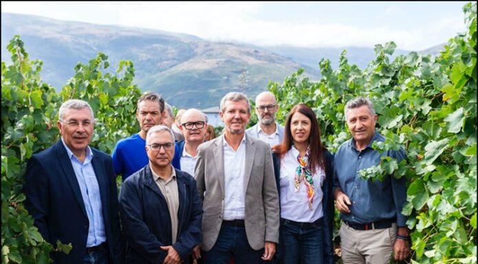 Luis Menor destaca o valor estratéxico do sector vitivinícola de Valderras para a economía, o emprego e a proxección exterior da provincia de Ourense