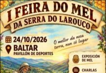 A I Feira do Mel da Serra do Larouco reúne en Baltar trece expositores e ofrecerá showcooking e desgustación
