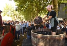 Luis Menor pon en valor o traballo do sector primario ourensán na V Festa da Vendima de Monterrei